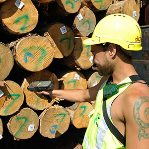 Jonathan Barran Forestry Photography, Forestry Photographer in Rotorua NZ